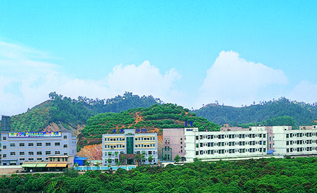公司簡(jiǎn)介2